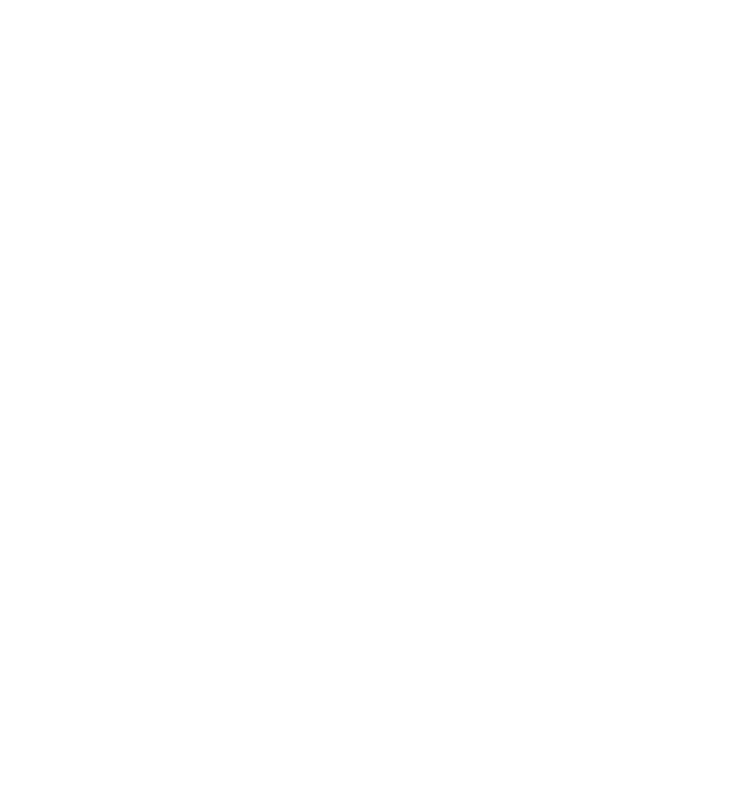 nuevadanza